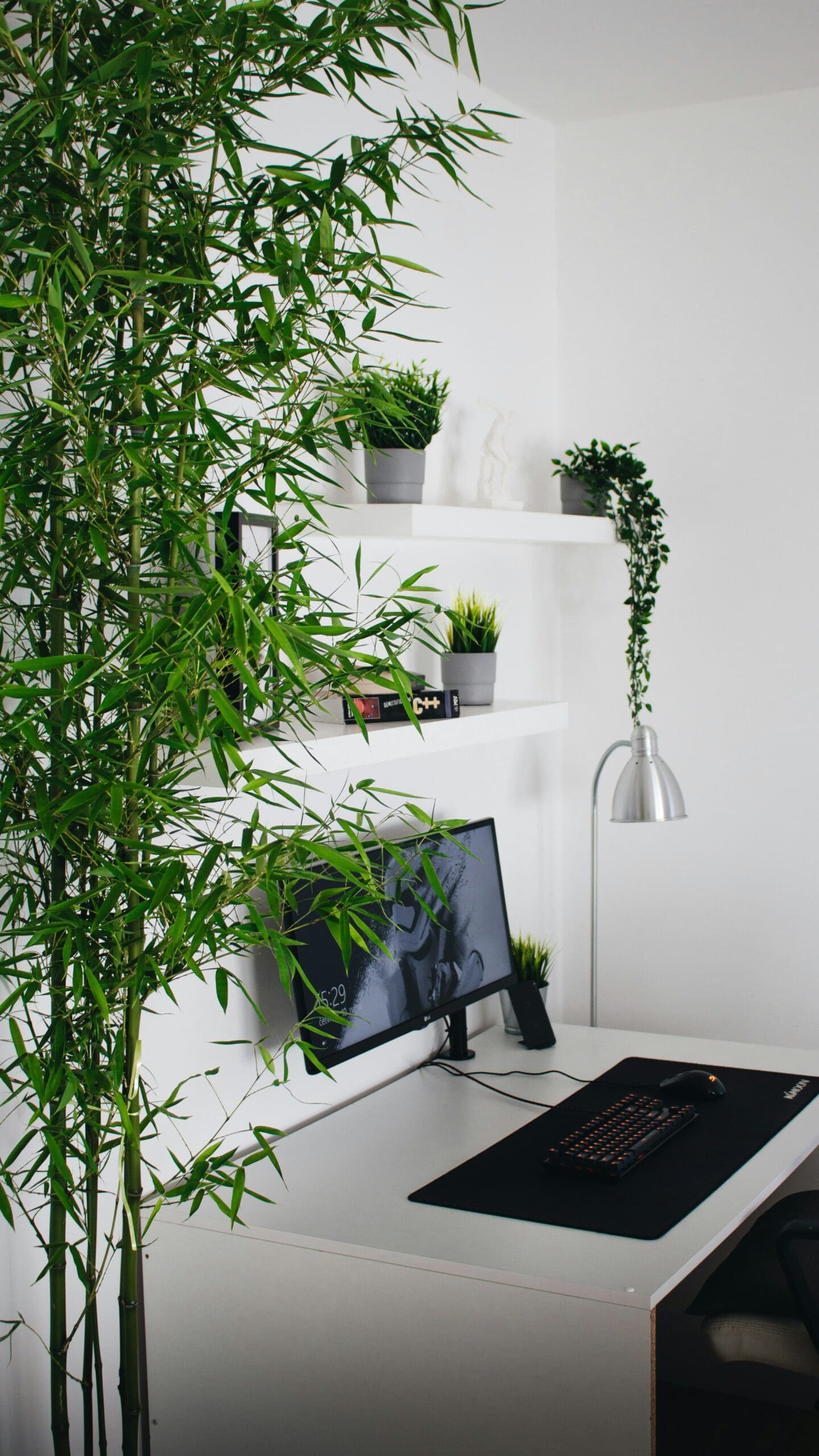 Clean, minimalist workspace symbolizing clarity and focus in practitioner messaging