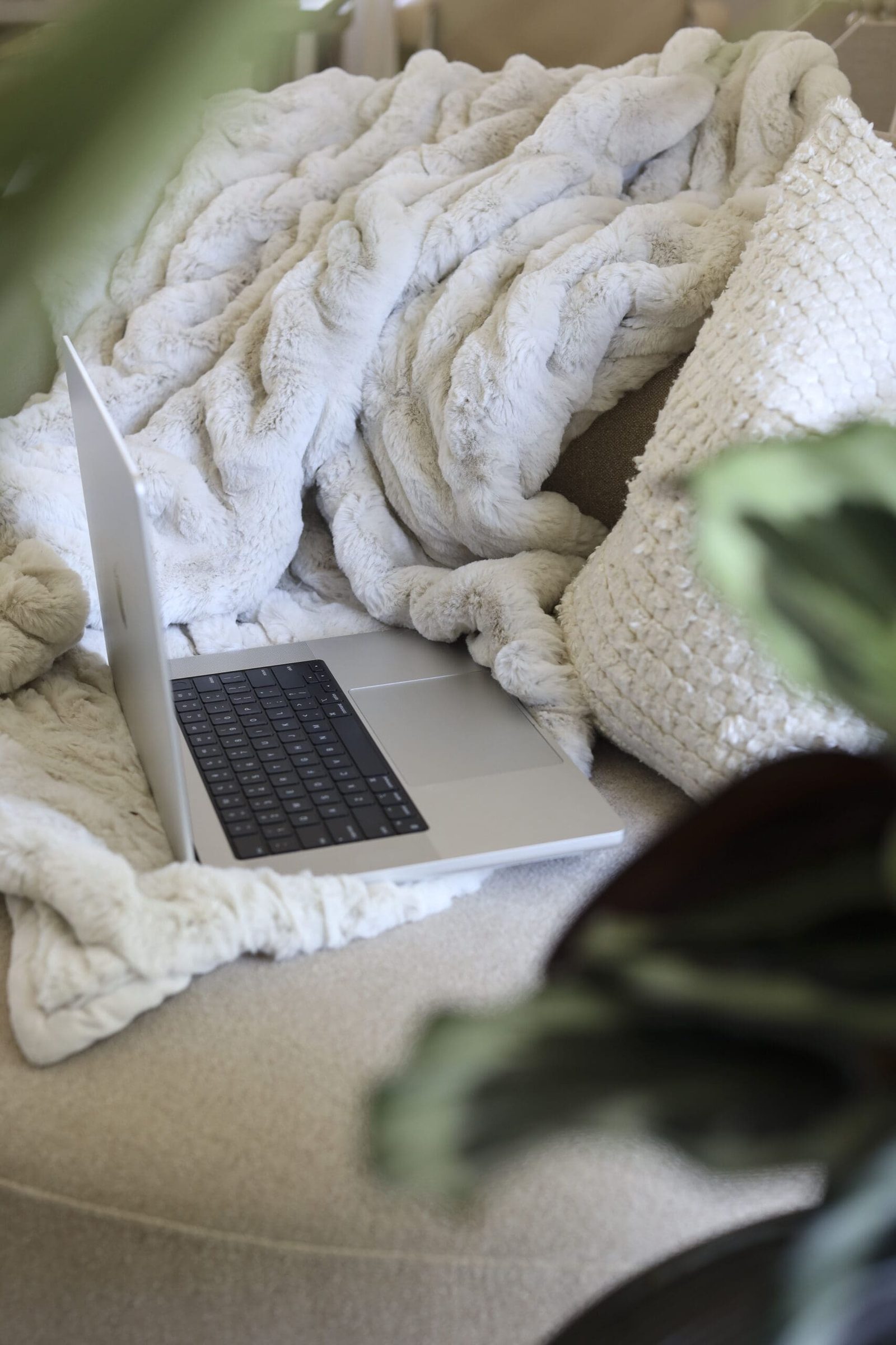 laptop setup on the couch to learn about mindset for online health practitioners