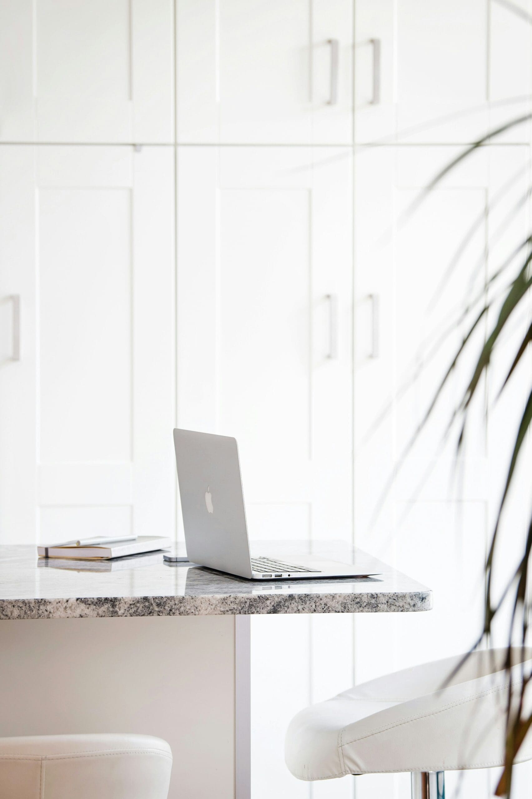 a clean online business environment for wellness professionals.