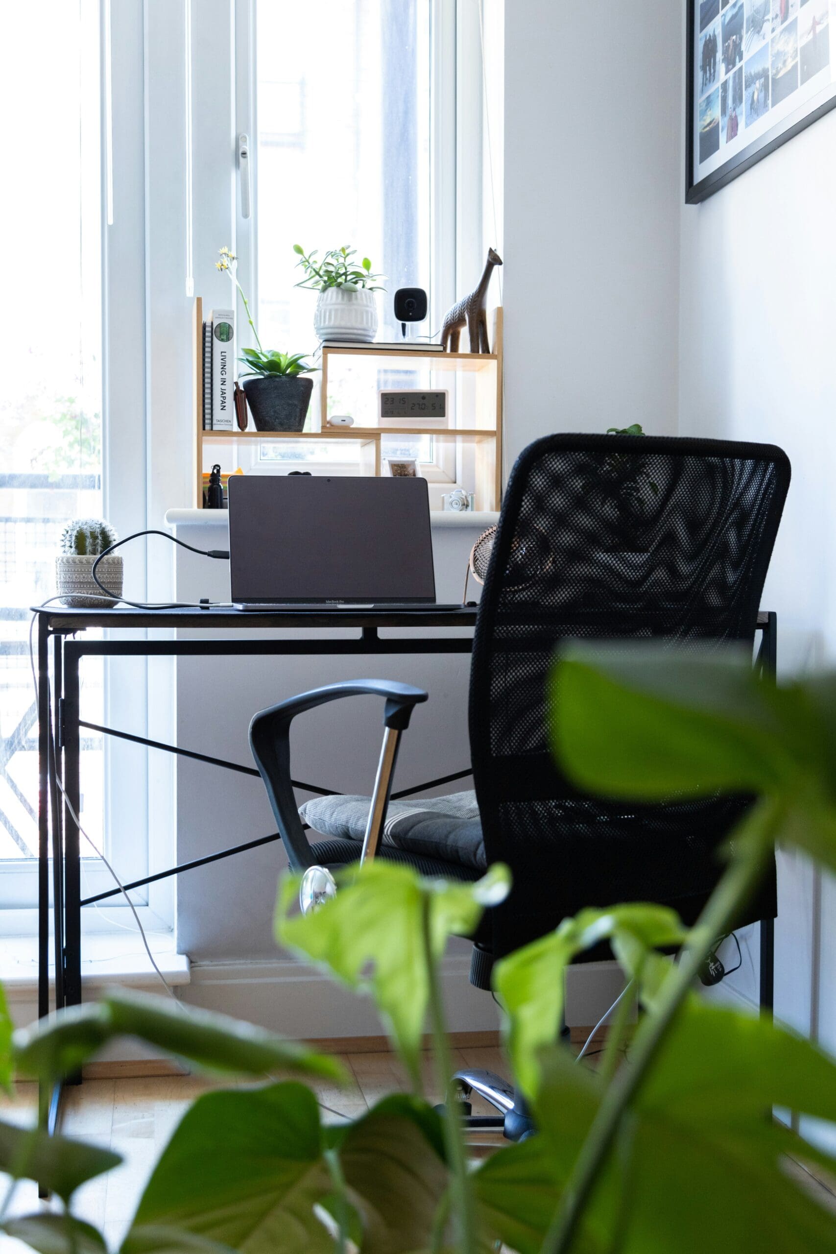 Modern home office with laptop, ergonomic chair, and indoor plants by the window – peaceful and productive work environment.